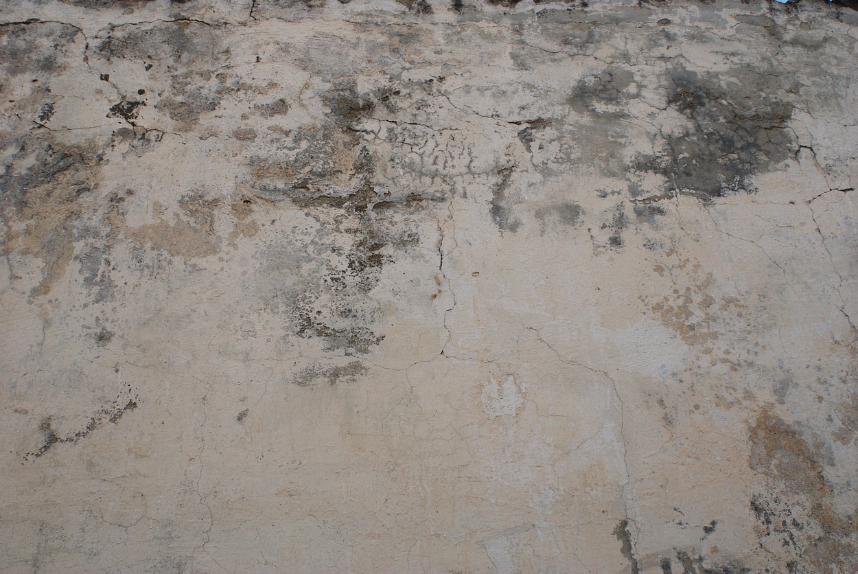 Plaster Free Textures